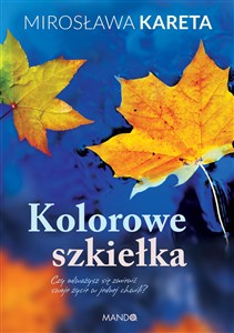 Kolorowe szkiełka chicago polish bookstore