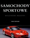 Samochody sportowe Wyczynowe maszyny bookstore