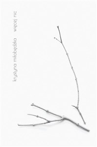 więcej nic  - Polish Bookstore USA