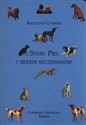 Stary Pies i siedem szczeniaków polish usa