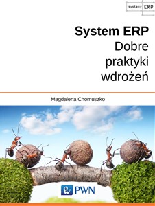 System ERP Dobre praktyki wdrożeń polish books in canada