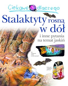 Ciekawe dlaczego stalaktyty rosną w dół Polish bookstore