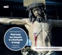 [Audiobook] Patrzmy na Jezusa w chwilach trwogi  