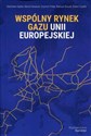 Wspólny rynek gazu Unii Europejskiej  