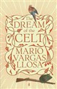 Dream of the Celt in polish