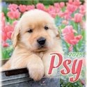 Kalendarz 2025 wieloplanszowy Psy  to buy in USA