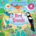 Bird Sounds - Sam Taplin Polish bookstore