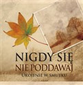 Nigdy się nie poddawaj Ukojenie w smutku bookstore