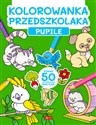Kolorowanka przedszkolaka. Pupile online polish bookstore