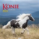 Kalendarz 2023 spirala kw Konie KD22 - Polish Bookstore USA