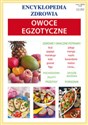 Owoce egzotyczne Encyklopedia zdrowia - Anna Smaza buy polish books in Usa
