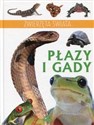 Zwierzęta świata Płazy i gady 