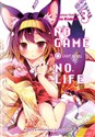 No Game No Life. Light Novel. Tom 3 online polish bookstore
