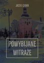 Powybijane witraże books in polish