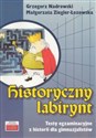 Historyczny labirynt in polish