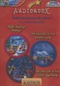 [Audiobook] Wizyta Świętego Mikołaja / Jak zwierzęta w lesie bałwana lepiły / Jak zwierzęta w lesie Święta wyprawiały online polish bookstore