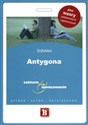 Antygona Lektura plus opracowanie plus wzory zadawanych wypracowań. Szybko, łatwo, bezstresowo. in polish
