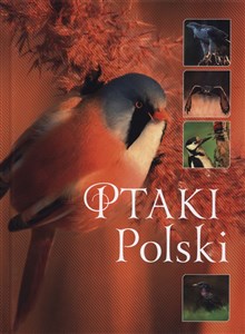 Ptaki Polski to buy in USA