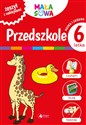 Przedszkole 6-latka in polish