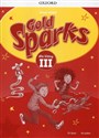 Gold Sparks 3 Zeszyt ćwiczeń polish usa