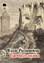 Tajemnicza zagadka - Walery Przyborowski