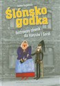 Ślónsko godka Ilustrowany słownik dla Hanysów i Goroli - Joanna Furgalińska chicago polish bookstore