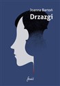 Drzazgi - Joanna Bartoń Polish bookstore