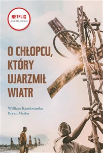 O chłopcu, który ujarzmił wiatr polish books in canada