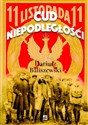 Cud Niepodległości Polska wybuchła - Dariusz Baliszewski