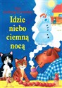 Idzie niebo ciemną nocą Polish Books Canada