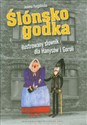 Ślónsko godka Ilustrowany słownik dla Hanysów i Goroli - Joanna Furgalińska in polish