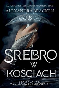 Srebro w kościach chicago polish bookstore