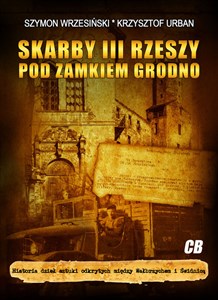 Skarby III Rzeszy pod zamkiem Grodno Historia dzieł sztuki odkrytych między Wałbrzychem i Świdnicą  