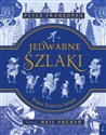 Jedwabne szlaki Nowa historia świata Polish bookstore
