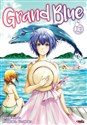 Grand Blue. Tom 13  to buy in USA