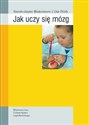 Jak uczy się mózg? 