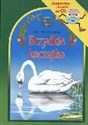 [Audiobook] Brzydkie kaczątko Słuchowisko i piosenki na CD - Hans Christian Andersen to buy in Canada
