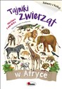 Tajniki zwierząt w Afryce Zabawy z kalką - Mirosława Kwiecińska