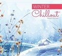 Winter Chillout SOLITON polish books in canada