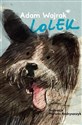 Lolek buy polish books in Usa