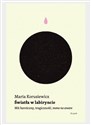 Światła w labiryncie - Polish Bookstore USA