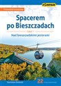 Spacerem po Bieszczadach Część 1 Nad bieszczadzkimi jeziorami online polish bookstore