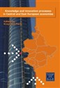 Knowledge and innovation processes in Central and East European economies  bookstore