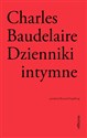 Dzienniki intymne. Biedna Belgia! - Charles Baudelaire