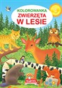 Kolorowanka Zwierzęta w lesie  