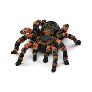 Tarantula SLH14829  