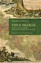 Visus Silesiae Treści i funkcje ideowe kartografii Śląska XVI-XVIII w Polish bookstore