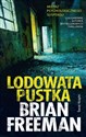 Lodowata pustka  