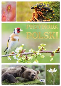 Przyroda Polski bookstore