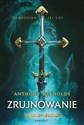 League of Legends: Zrujnowanie  books in polish